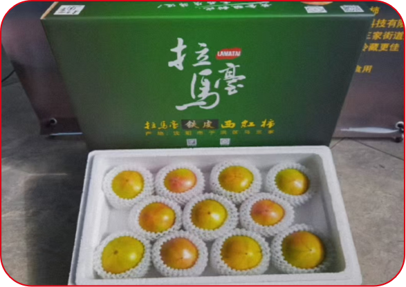 铁皮柿子包装细节